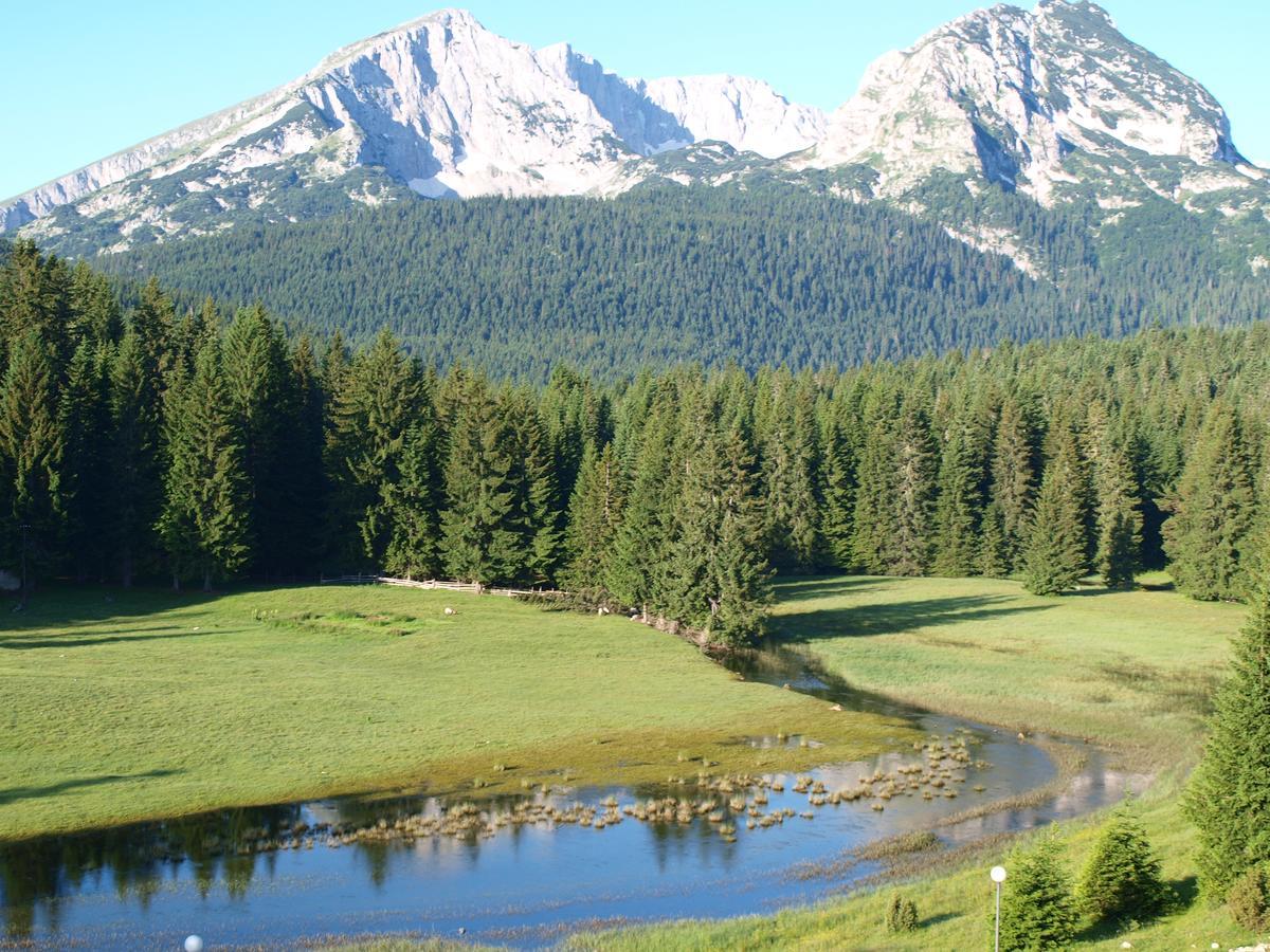 Guesthouse Ukus Durmitora Žabljak Exteriör bild