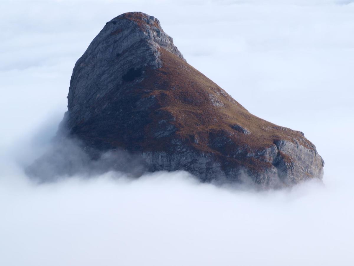 Guesthouse Ukus Durmitora Žabljak Exteriör bild